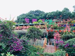 -枇杷园食为鲜火锅(南山店)