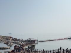 -养马岛旅游度假区