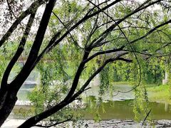 -昆山城市生态森林公园