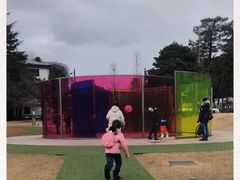 -金泽21世纪美术馆