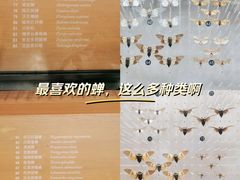 -上海自然博物馆