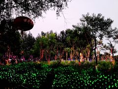 -顺鑫绿色度假村