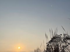 -粤香村(清真川菜店)
