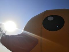 -泰达航母主题公园