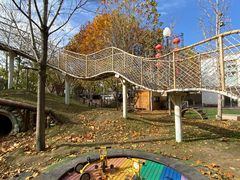 -金宝幼儿园(通州校区)