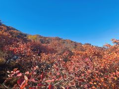 -周口店坡峰岭风景区