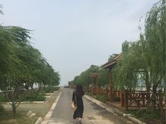 -湖鲜楼