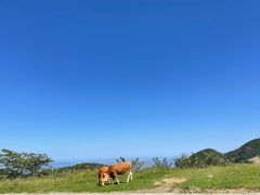 -武陵山森林公园