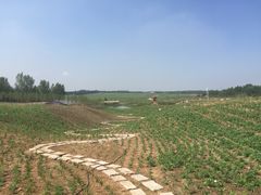 -北纬44度·金珠花海休闲农业旅游景区