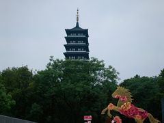 -宜兴龙背山森林公园