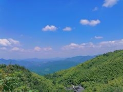 -江西阳明山国家森林公园