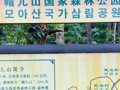 -帽儿山国家森林公园