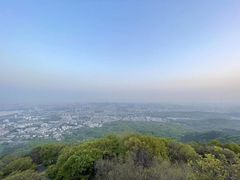 -紫金山山顶公园