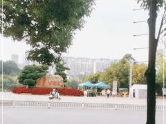 -洛龙公园