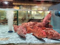 -阿伟海鲜楼·福建菜(延寿店)