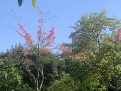 -晓港公园