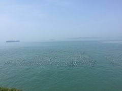 -枸杞岛
