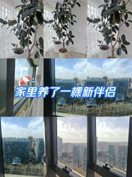 -HEYAN荷妍专业脱毛连锁机构