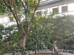 -石家庄市植物园