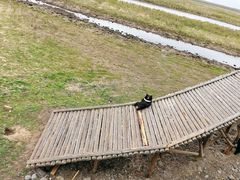 -黑瞎子岛探秘野熊园