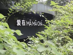 -MAMACHA妈妈茶(岳麓山店)