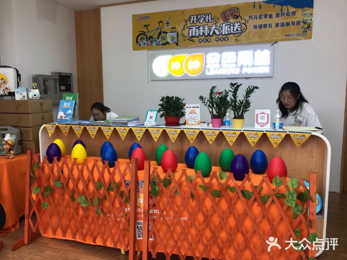 金色雨林学习力培优(专注力提升)图片