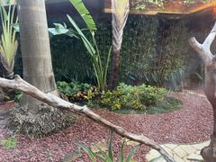 -麒麟中餐厅·经典粤菜·地道菜式老字号(广州长隆酒店)