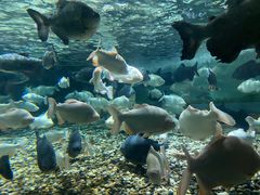 -成都浩海立方海洋公园