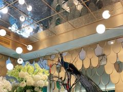 店内布置-雀蓝川菜(奥体广场店)