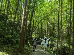-凤栖山
