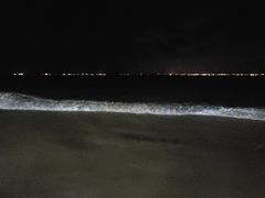 -明记海鲜大排档(巽寮湾店)