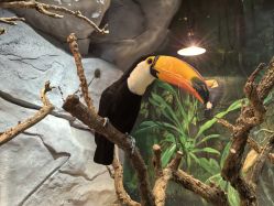 -Zoolung Zoolung动物主题公园(海信广场店)