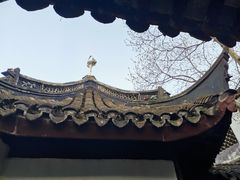-上海醉白池公园