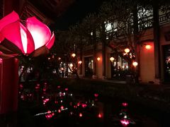 景观位-河内西湖莲花自助餐厅