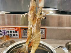 -大橘元自助回转火锅(天河新天地店)