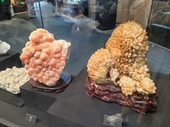 -烟台自然博物馆