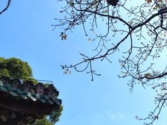 -南海神庙