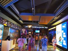 -万达影城(锦华万达广场IMAX店)