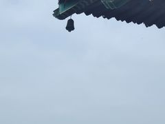 -阅江楼风景区