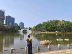 -映月湖公园