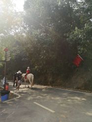 -长沙小顽国景区