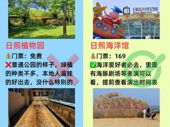 -日照灯塔风景区