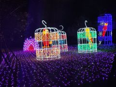 -飞凤山奥体公园