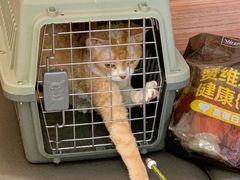 -可蒙动物医院·猫科·骨科中心(首义路店)