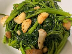 -肥家大排档(天河体育西店)
