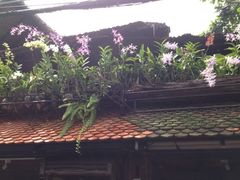-自然餐厅(Phuket)