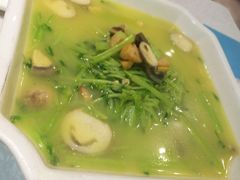 上汤豆苗-京味民福烤鸭店(建设四马路店)