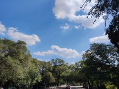 -北陵公园