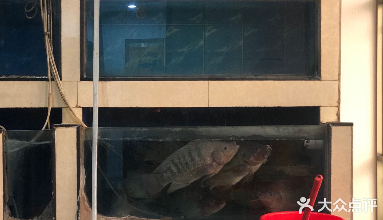 广州塔下的顺德菜🐟/倒吊鱼粥底火锅