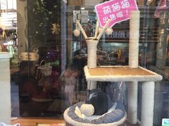 -小尾巴宠物店(万科·金域华庭店)